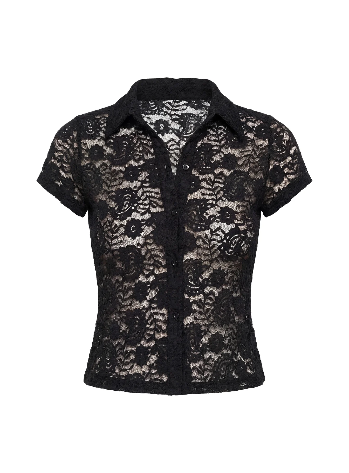 Daveney Lace Short Sleeve Collared Top Black - Image 9
